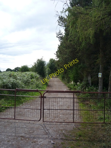 Photo 6"x4" Course of old railway Raskelf c2010