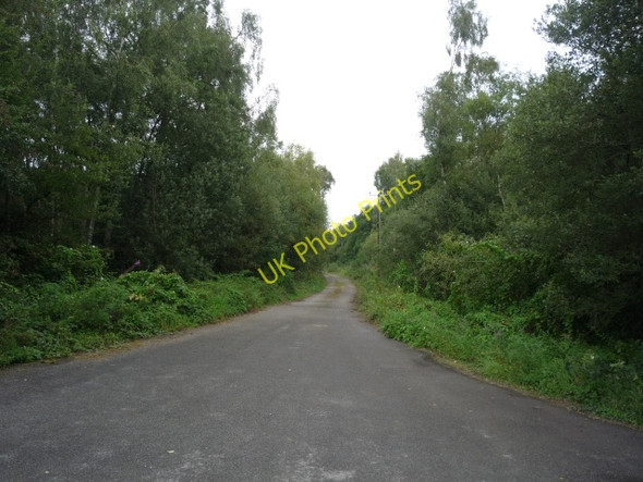 Photo 6"x4" Course of railway Fawdington c2010