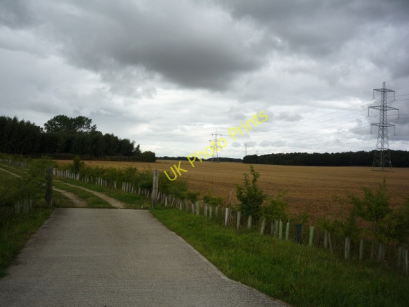 Photo 6"x4" A track into The Avenue Fawdington c2010