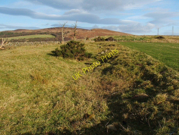 Photo 6"x4" Former woodland at edge of field Ardoch\/NS3676 c2010
