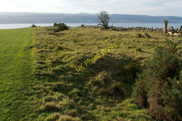 Photo 6"x4" Former woodland at edge of field Ardoch\/NS3676 c2010