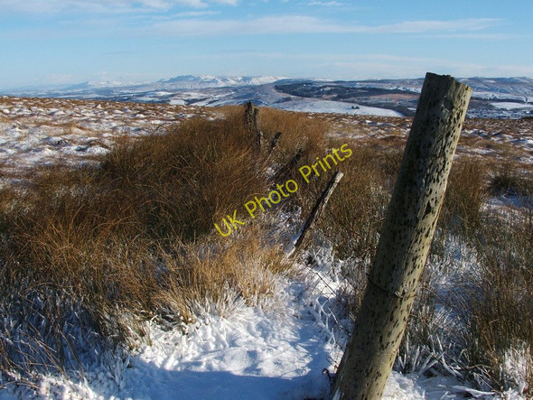 Photo 6"x4" A fence on the moor Renton c2010