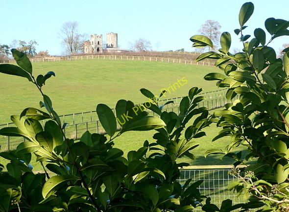 Photo 6"x4" Lord Boston's Folly from Church Path Hawks Hill c2010