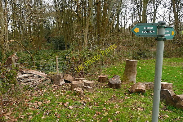 Photo 6"x4" Nice place for a rest Upper Woolhampton c2010