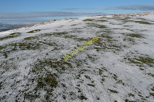 Photo 6"x4" South side of Garway Hill White Rocks c2010
