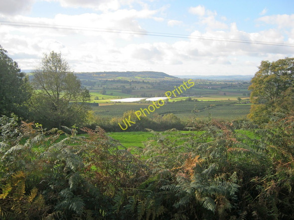 Photo 6"x4" Farmland west of Westhope Westhope\/SO4651 c2010