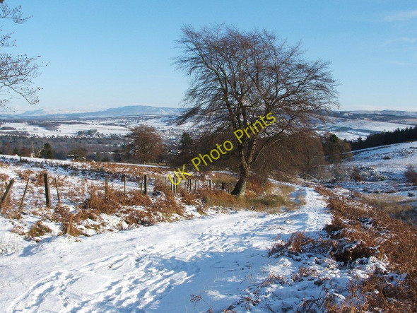 Photo 6"x4" The Stoneymollan Road Alexandria c2010