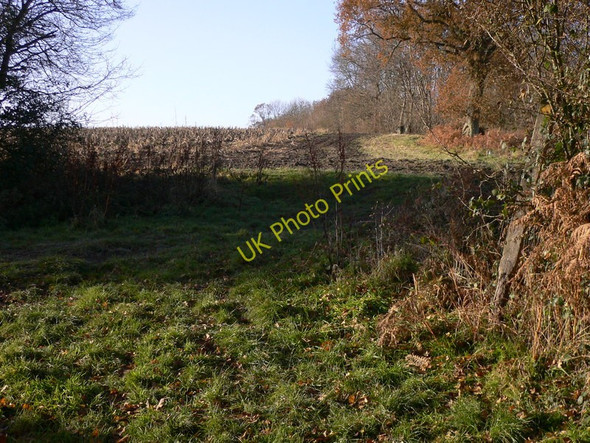 Photo 6"x4" Footpath takes left turn on the way to Elsted Elsted c2010