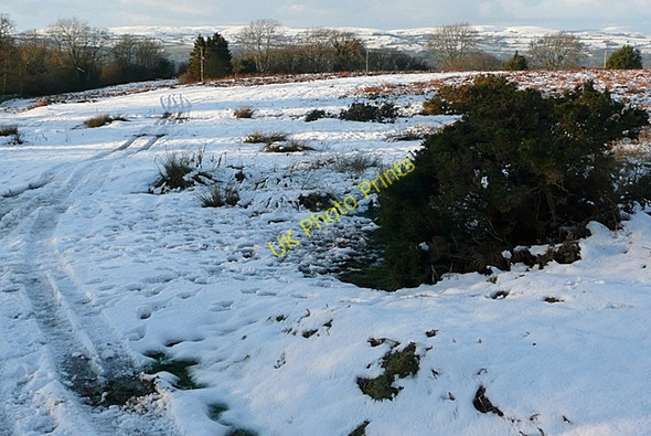 Photo 6"x4" Track on Little Mountain Archenfield c2010