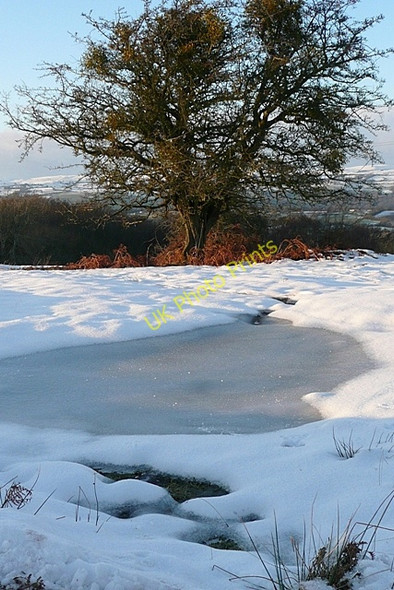 Photo 6"x4" Pond on Little Mountain Westbrook\/SO2843 c2010