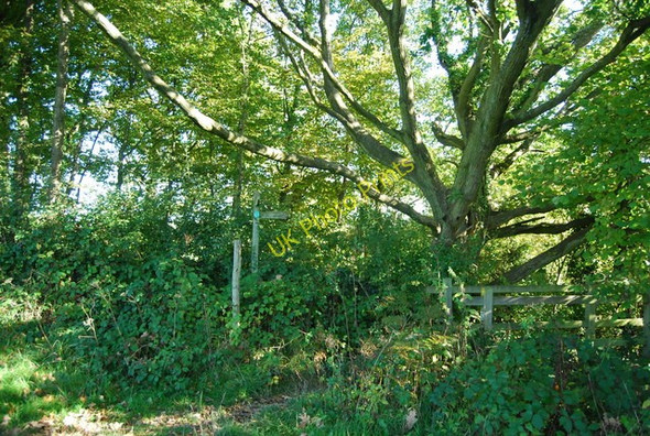 Photo 6"x4" Sussex Border Path turns south Ewhurst Green\/TQ7924 c2010