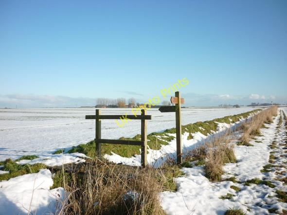 Photo 6"x4" Left to Rands Farm, right to Little Weghill Hedon c2010