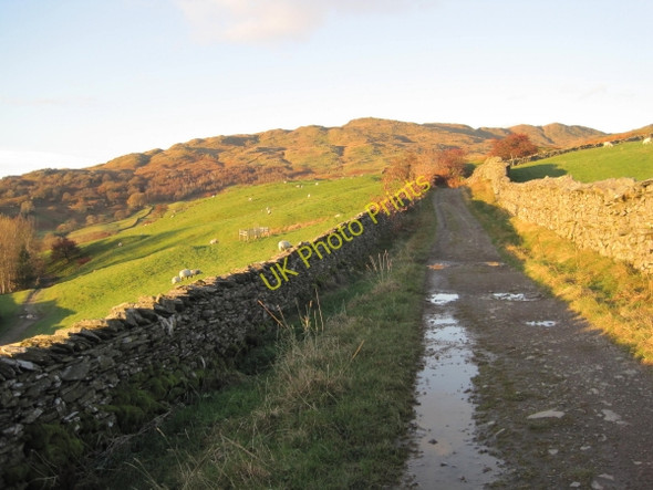Photo 6"x4" Hundreds Road towards Wansfell Ambleside c2010
