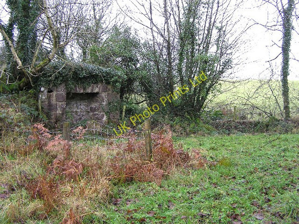 Photo 6"x4" Stone ruin at Beragh near Mountjoy, Omagh Mountjoy\/H4277 c2005