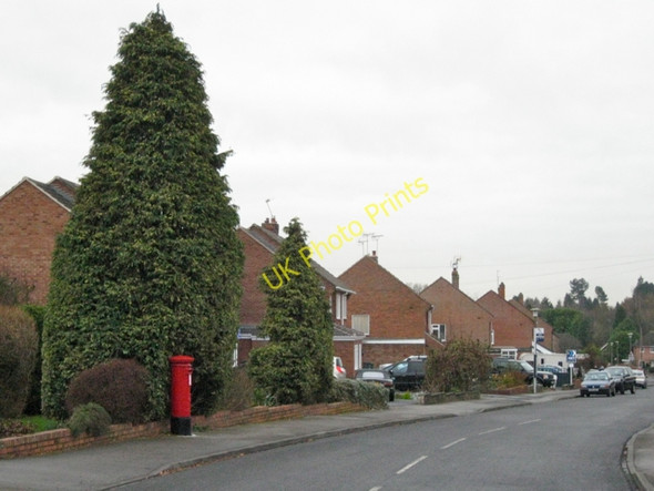 Photo 6"x4" Poplar Road, Dorridge B93 Bentley Heath\/SP1675 c2010
