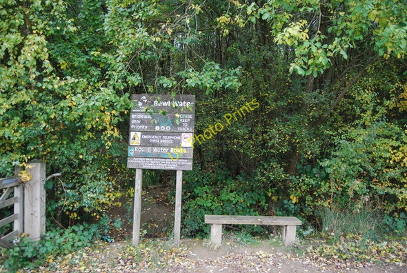 Photo 6"x4" Information in Chingley Wood Stonecrouch c2010
