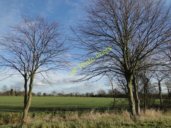 Photo 6"x4" View through the trees to Wood Farm Dennington Hall c2010