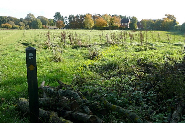 Photo 6"x4" The Ridgeway Path at Nuffield Nuffield c2010