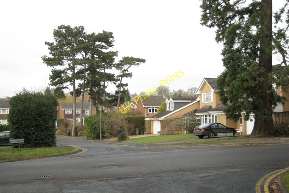 Photo 6"x4" Warren Drive, Dorridge B93 Knowle Grove c2010