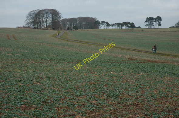 Photo 6"x4" The road to Lalu Farm Conderton c2010