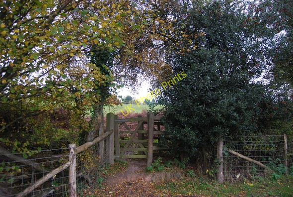Photo 6"x4" Kissing gate approaching Boreham Street Boreham Street c2010