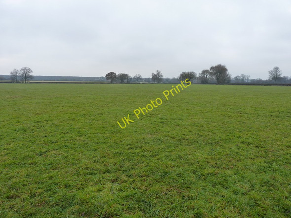 Photo 6"x4" Lots of winter grass Goosehill Green c2010
