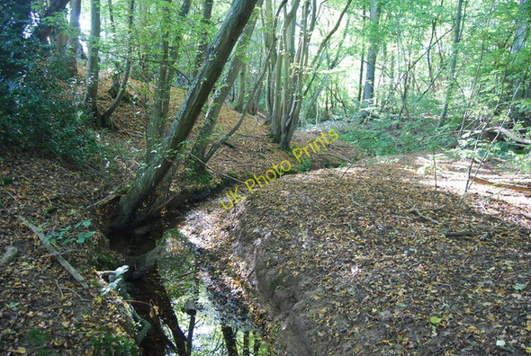 Photo 6"x4" Stream in Gilly Wood Northiam c2010