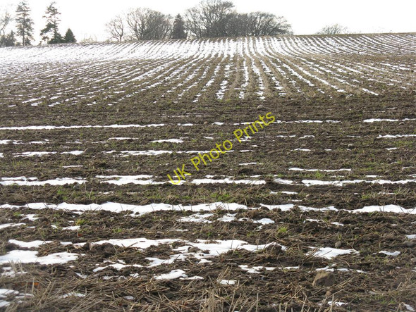 Photo 6"x4" Field at Tynehead Tynehead c2010