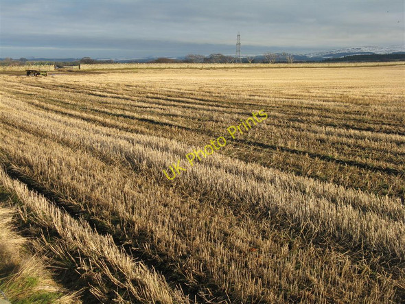 Photo 6"x4" Stubble at Saughland  Blackcastle\/NT4159 c2010