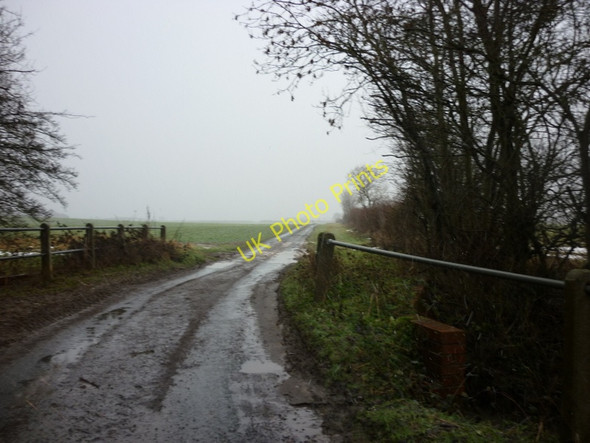 Photo 6"x4" A bridge over Stream Dike Seaton\/TA1646 c2010
