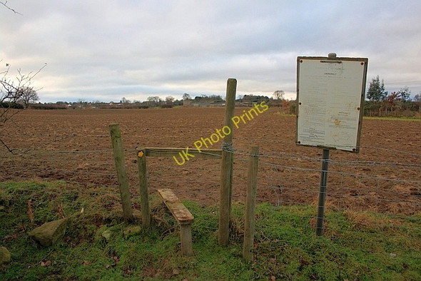 Photo 6"x4" Footpath to Hipswell Brough With St Giles c2010