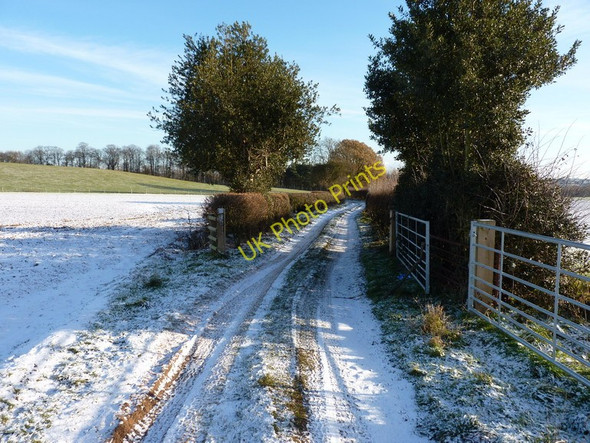 Photo 6"x4" Farm track to Sheepwalk Coppice Hallon c2010