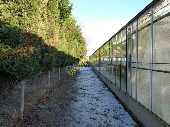 Photo 6"x4" Bridleway behind the nursery in Worfield Bradney\/SO7695 c2010