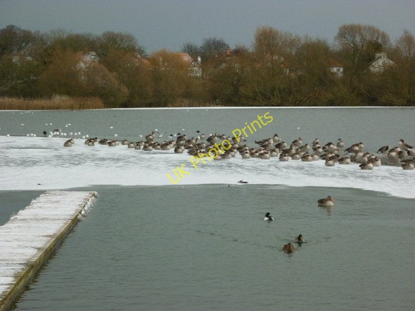 Photo 6"x4" Hornsea Mere Hornsea c2010