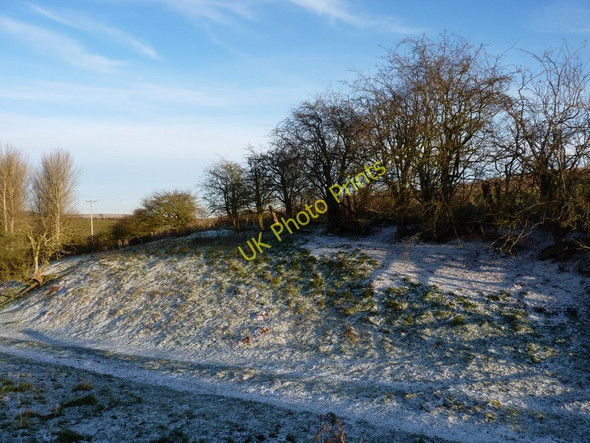 Photo 6"x4" Old hedgerow near Rowley Coppice Folley\/SO7797 c2010