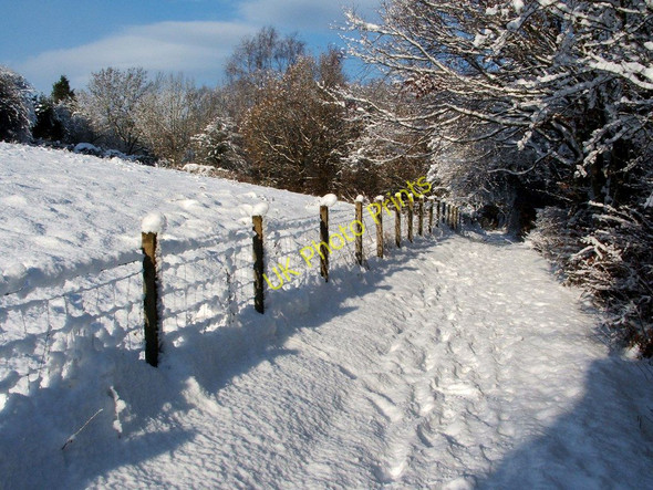 Photo 6"x4" Path to Vale of Leven Cemetery Alexandria c2010