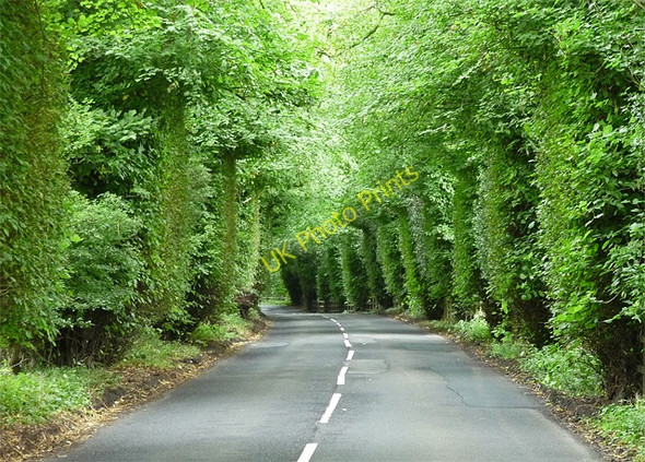 Photo 6"x4" Country road near Wark (2) Wark\/NY8677 c2010