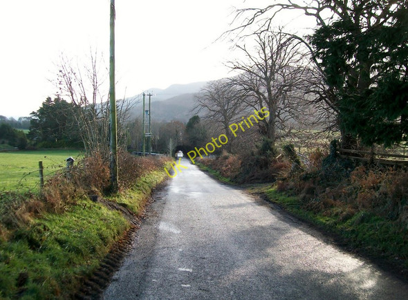Photo 6"x4" View south in the direction of Bryansford along the Burrenreagh Road Castlewellan c2010