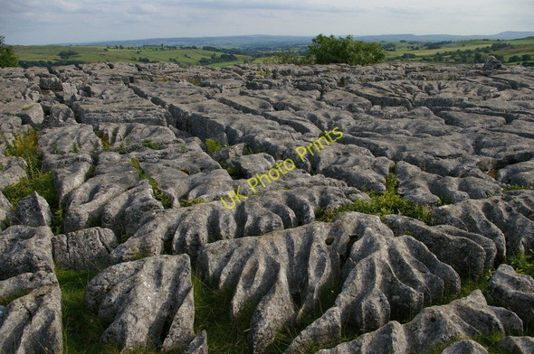 Photo 6"x4" Limestone pavement above Malham Cove Malham\/SD9062 c2009