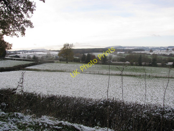 Photo 6"x4" Fields near Allt-yr-yn Newport\/Casnewydd c2010