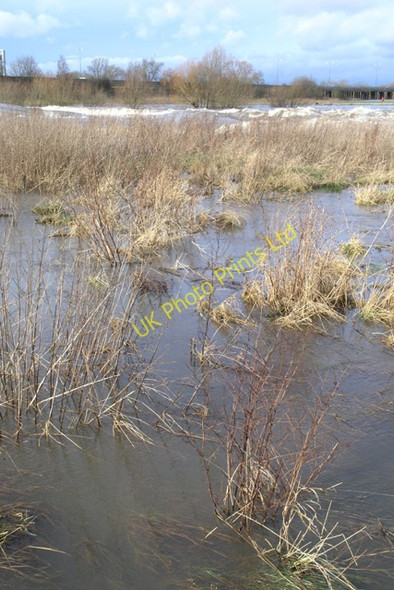 Photo 6"x4" Flooded meadow by Sawley Weir Sawley\/SK4731 c2008