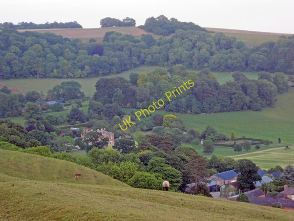 Photo 6"x4" Rainscombe Park Oare\/SU1563 c2010
