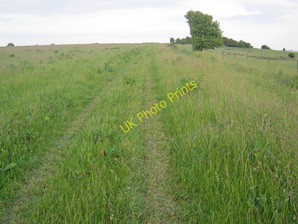 Photo 6"x4" Grassy track on Huish Hill Oare\/SU1563 c2010