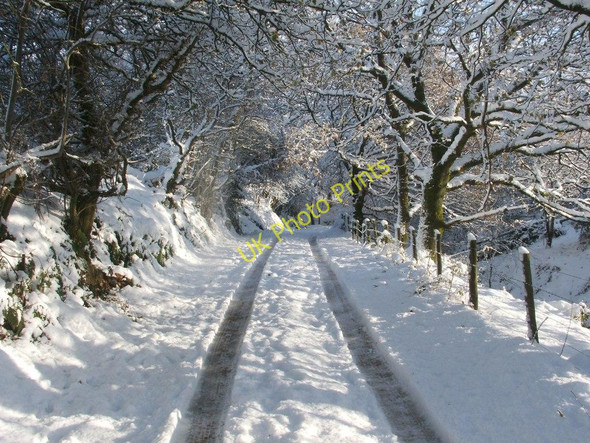 Photo 6"x4" Path from Millburn Muir Alexandria c2010