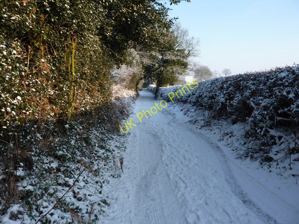 Photo 6"x4" Bridleway and farm track to The Holt and Meashill Farm Bishops Wood c2010