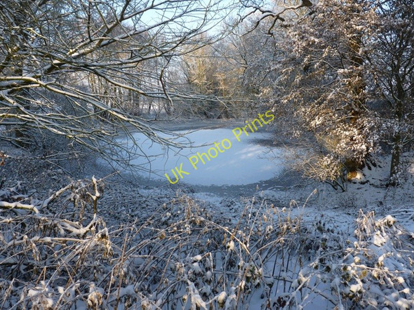 Photo 6"x4" Pond near Pearse Hay Farm Coldham\/SJ8508 c2010