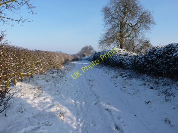 Photo 6"x4" Bridleway to Pearse Hay Farm Coldham\/SJ8508 c2010