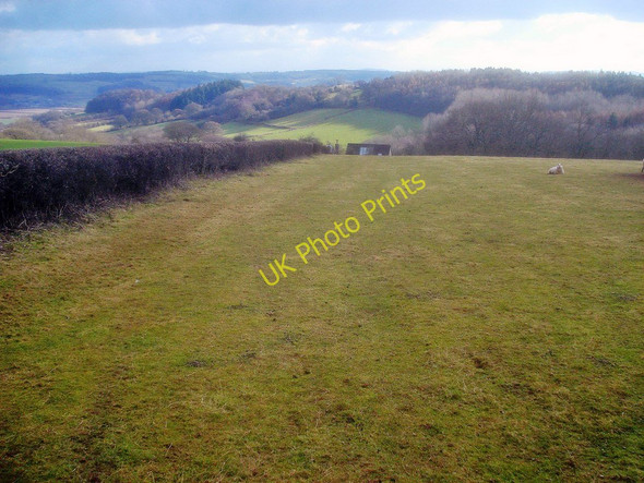 Photo 6"x4" Sheep pasture above Old Lodge Snodhill c2010