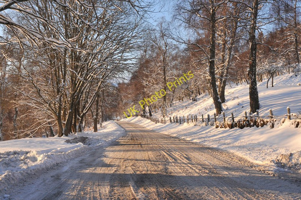 Photo 6"x4" B9102 near Tulchan Estate Advie c2010