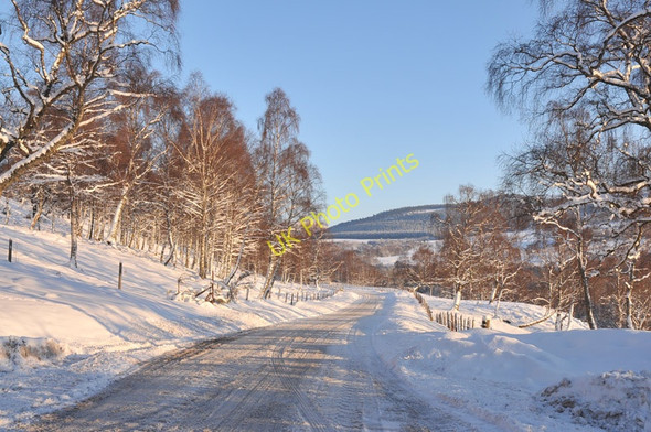 Photo 6"x4" B9102 near Tulchan Estate Advie c2010